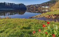 Rheinland-Pfalz, Eifel - Biersdorf am See  Stausee Bitburg 10.JPG
