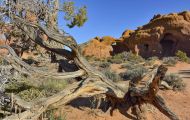 Utah, Canyon Country - Arches National Park 07.JPG