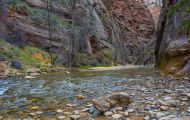 Utah, Dixie - Zion National Park 11.JPG