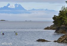 Vancouver Island - Ocean Kayaking in der Johnstone Strait.JPG