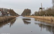 Westflandern, Damme - Kanaal van Brugge  Hoeke Windmill 03.JPG
