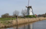 Westflandern, Damme - Kanaal van Brugge  Hoeke Windmill 04.JPG