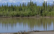 Yukon Territorries, Klondike - Along Alaska Highway 03.JPG