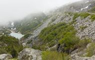 Alaska, Inside Passage - Klondike Highway 04.JPG
