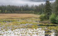 Alaska, Southcentral - Seward Highway 02.JPG