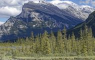 Alberta, Canadian Rockies - Banff Area - Vermillion Lakes 13.JPG
