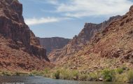 Arizona, Northcentral-Eastern - Page  Colorado River Discovery 07.JPG