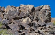 Arizona, Northcentral-Eastern - Tucson  Saguaro Nationall Park, Tucson Mountain District 02.JPG