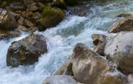 Bayern, Oberbayern - Ramsau bei Berchtesgaden  Hintersee, Zauberwald 06.JPG