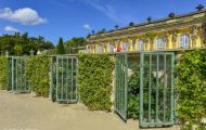 Brandenburg, Potsdam - Park Sanssouci / Schloss Sanssouci - Weinbergterassen 01