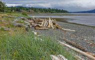 British Columbia, Vancouver Island - Campbell River  Tyee Point 02.JPG