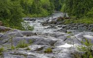 British Columbia, Vancouver Island - Pacific Rim Highway 03.JPG