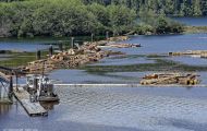British Columbia, Vancouver Island - Telegraph Cove  Beaver Cove Log Sort 03.JPG