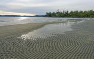 British Columbia, Vancouver Island - Tofino  McKenzie Beach 02.JPG