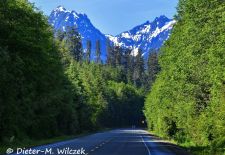 Faszination Vancouver Island - Westküste, Vancouver Inland Island Highway.JPG