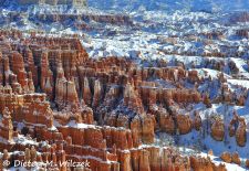 Naturwunder aus Stein im Westen der USA - Bryce Canyon National Park, Utah.JPG