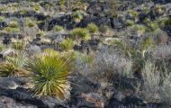 New Mexico, Southeast - Valley of Fire 01.JPG