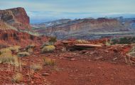 Utah, Canyon Country - Capitol Reef National Park 02.JPG