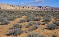 Utah, Canyon Country - SR24 West_.JPG