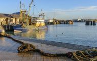 Westflandern, Ostende - Stadtzentrum  Fischereihafen 04.JPG