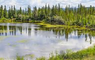 Yukon Territorries, Klondike - Alaska Highway  03.JPG