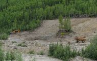 Yukon Territorries, Klondike - Dawson City  Bonanza Road 03.JPG