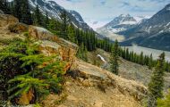 Alberta, Canadian Rockies - Icefields Parkway  Hwy 93, Peyto Lake 06.JPG