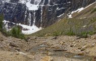 Alberta, Canadian Rockies - Jasper Area  Mt. Edith Cavell Road 04.JPG