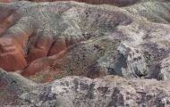 Arizona, Northcentral-Eastern - Petrified Forest National Park 03.JPG
