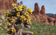 Arizona, Northcentral-Eastern - Sedona 02.JPG