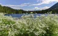 Bayern, Oberbayern - Ramsau bei Berchtesgaden  Hintersee 06.JPG