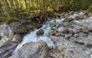 Bayern, Oberbayern - Ramsau bei Berchtesgaden  Hintersee, Zauberwald 05.JPG
