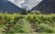 British Columbia, Thompson Okanagan - Highway 3, Along the way 04.JPG
