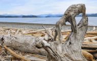 British Columbia, Vancouver Island - Campbell River  Quadra Island 04.JPG