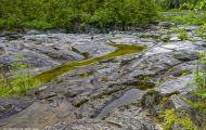 British Columbia, Vancouver Island - Pacific Rim Highway 02.JPG