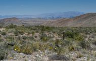 Nevada, South - Las Vegas View 01.JPG