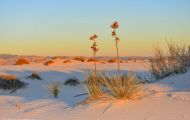 New Mexico, Southeast - White Sands National Monument 07.JPG