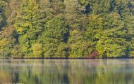 Rheinland-Pfalz, Eifel - Biersdorf am See  Stausee Bitburg 07.JPG