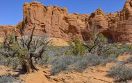 Utah, Canyon Country - Arches National Park 09.JPG