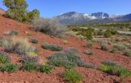Utah, Canyon Country - Upper Colorado River Scenic Byway  Cathedral Valley 01.JPG