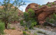 Utah, Dixie - Red Cliffs Recreation Site 01.JPG
