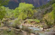 Utah, Dixie - Zion National Park 09.JPG