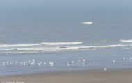 Westflandern, Ostende - Belgische Küste 23.JPG