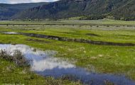Wyoming, Northwest - Yellowstone National Park Lamar Valley 01.JPG