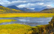 Yukon Territorries, Watson Lake - Along Haines Highway 09.JPG