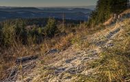 06 Baden-Württemberg, Schwarzwald - Schwarzwaldhochstrasse 06.JPG