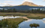 Alaska, Southcentral - Seward Highway 01.JPG