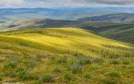 Alaska,Interior - Top of the World Highway 04.JPG