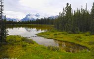 Alberta, Canadian Rockies - Canmore Area  Spray Lakes Trail 05.JPG