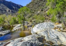 Sabino Canyon, Tucson